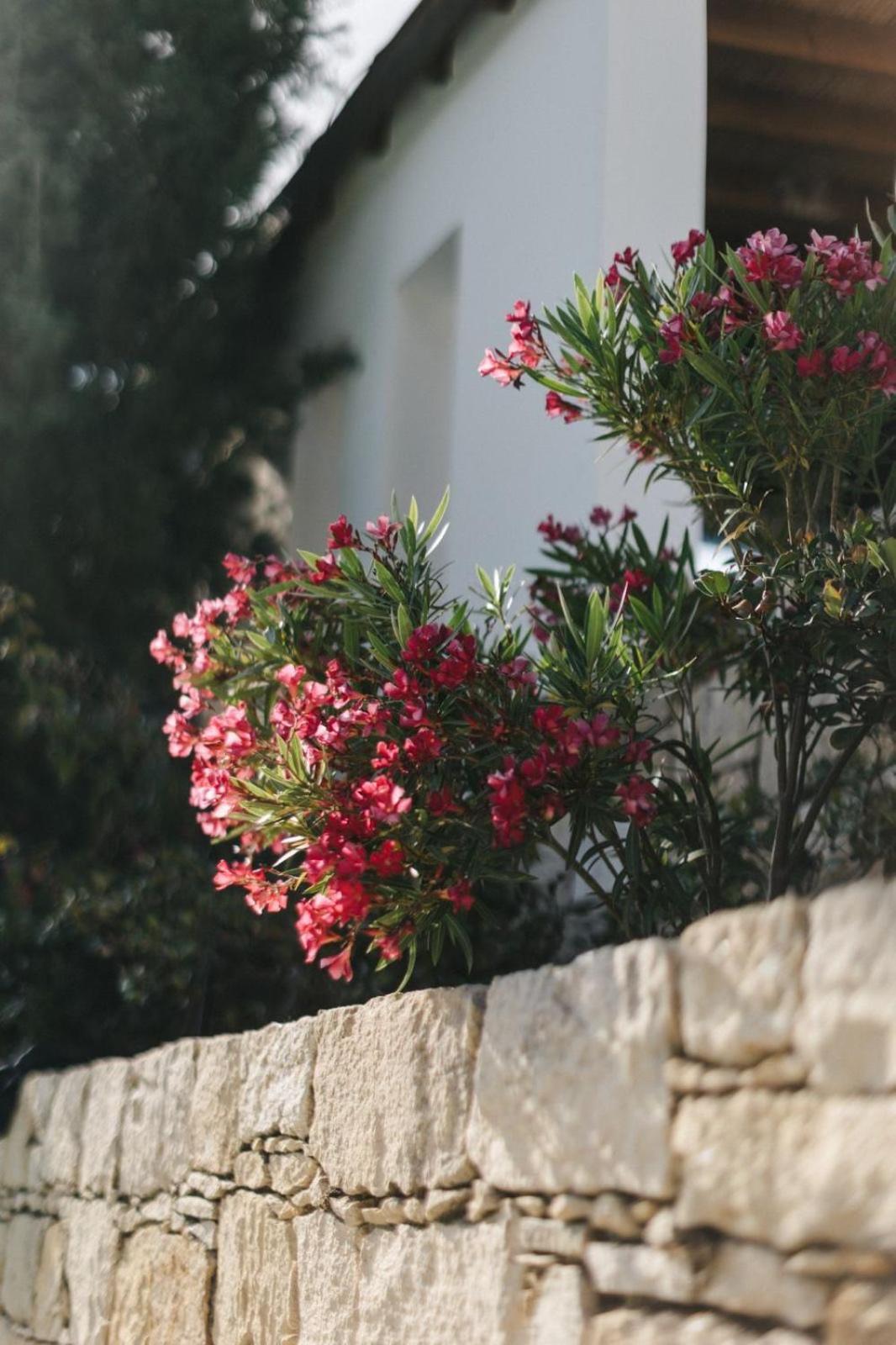 Cecilias Courtyard Konuk evi Malya Dış mekan fotoğraf
